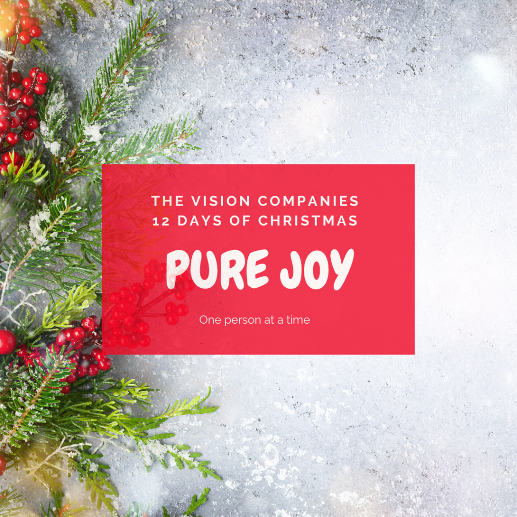 12 Days of Christmas Stories 2019 – Day 9 - The Vision Companies